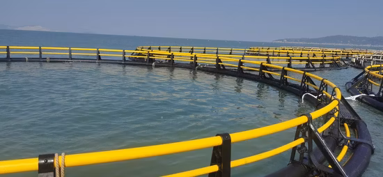 Piscicultura circular flutuante de HDPE marinho e offshore em mar profundo