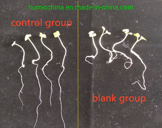 Humato de potássio de alta pureza, ácido húmico, fertilizante orgânico