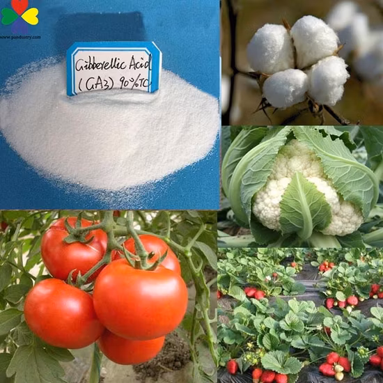 Regulador de crescimento vegetal giberelina ácido giberélico Ga3 90%Tc preço em pó