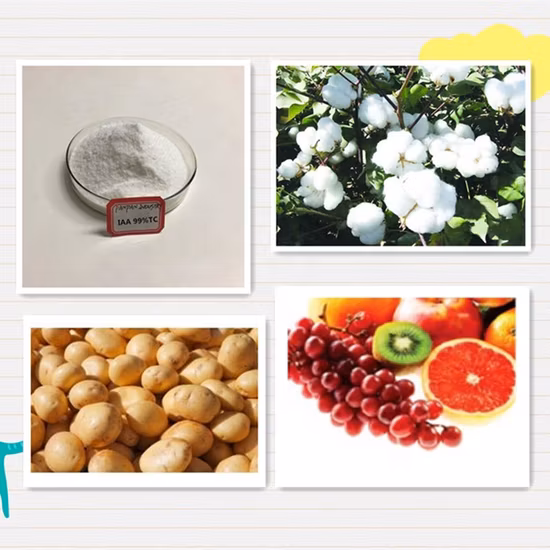 Pó orgânico do ácido acético de Auxin Iaa Indole do estimulador da raiz 99%Tc