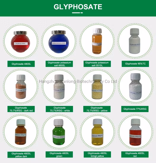 Glifosato (95%TC, 360SL, 480SL, 62%IPA, 75,7% WSG, 88,8%WSG)