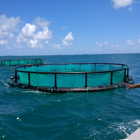 Gaiola de rede flutuante para piscicultura para aquicultura